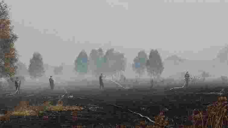 Дві сотні рятувальників гасять масштабну пожежу торфу на Яворівщині