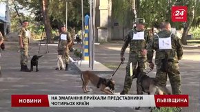 У Великих Мостах стартували міжнародні змагання службових собак прикордонників