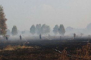 На Львівщині масові торф’яні пожежі