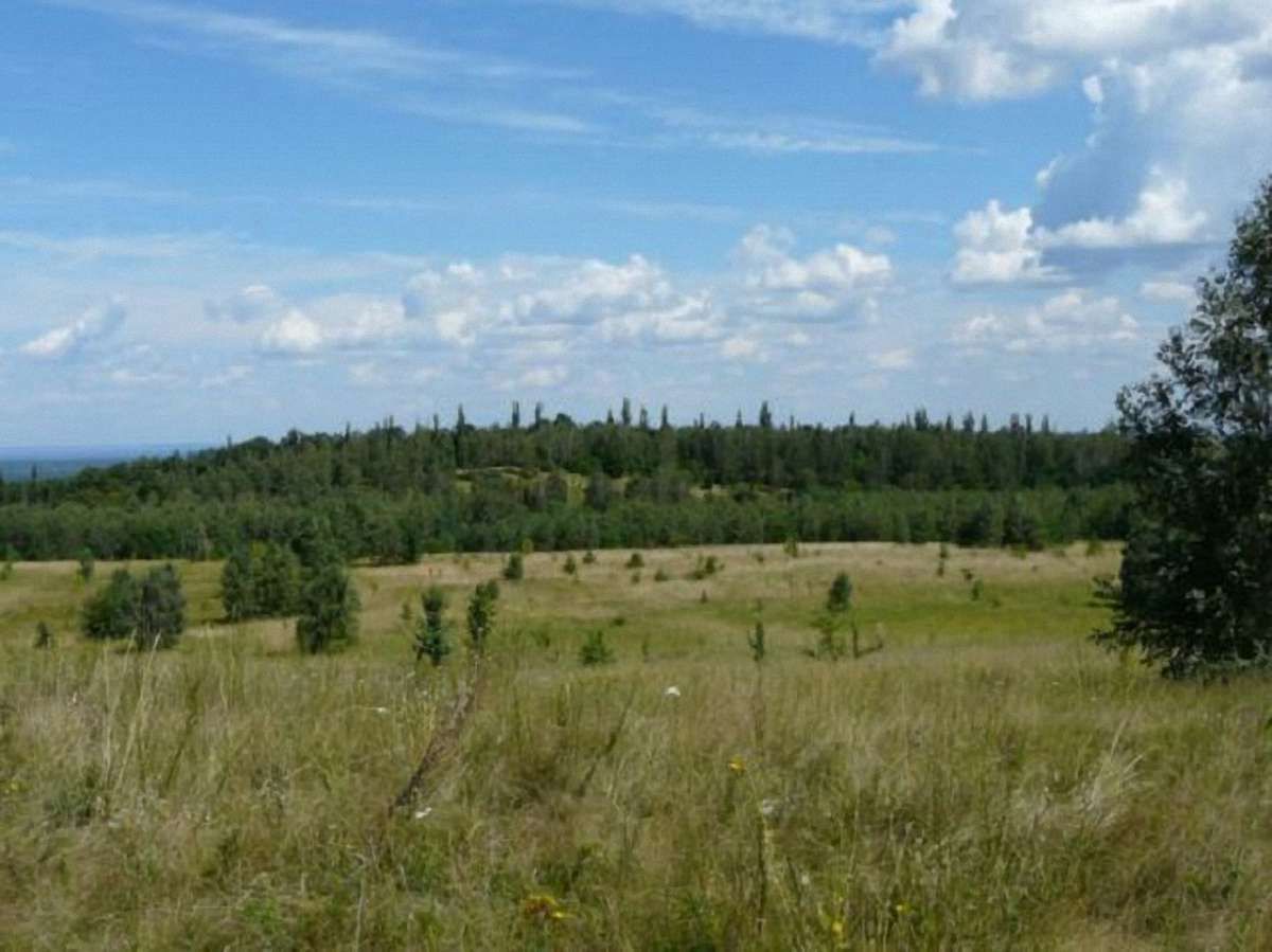 На Львівщині створили чотири нові об’єкти природно-заповідного фонду
