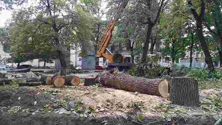 Під час реконструкції площі Маланюка у центрі Львова зрізали чотири дерева