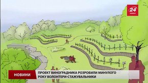 Парк «Знесіння» потребує небайдужих для втілення ідеї виноградарства