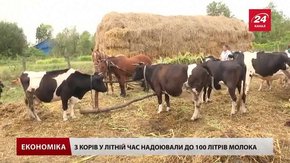На Львівщині запрацювала молочна сімейна ферма