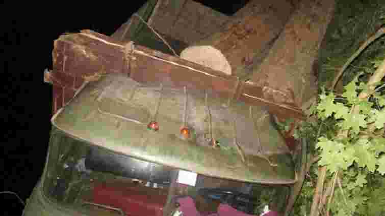 На Закарпатті перекинулася вантажівка з краденою деревиною: є загиблі