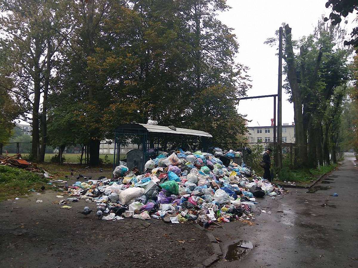 Впродовж доби у Львові очистять переповнені майданчики із сміттям