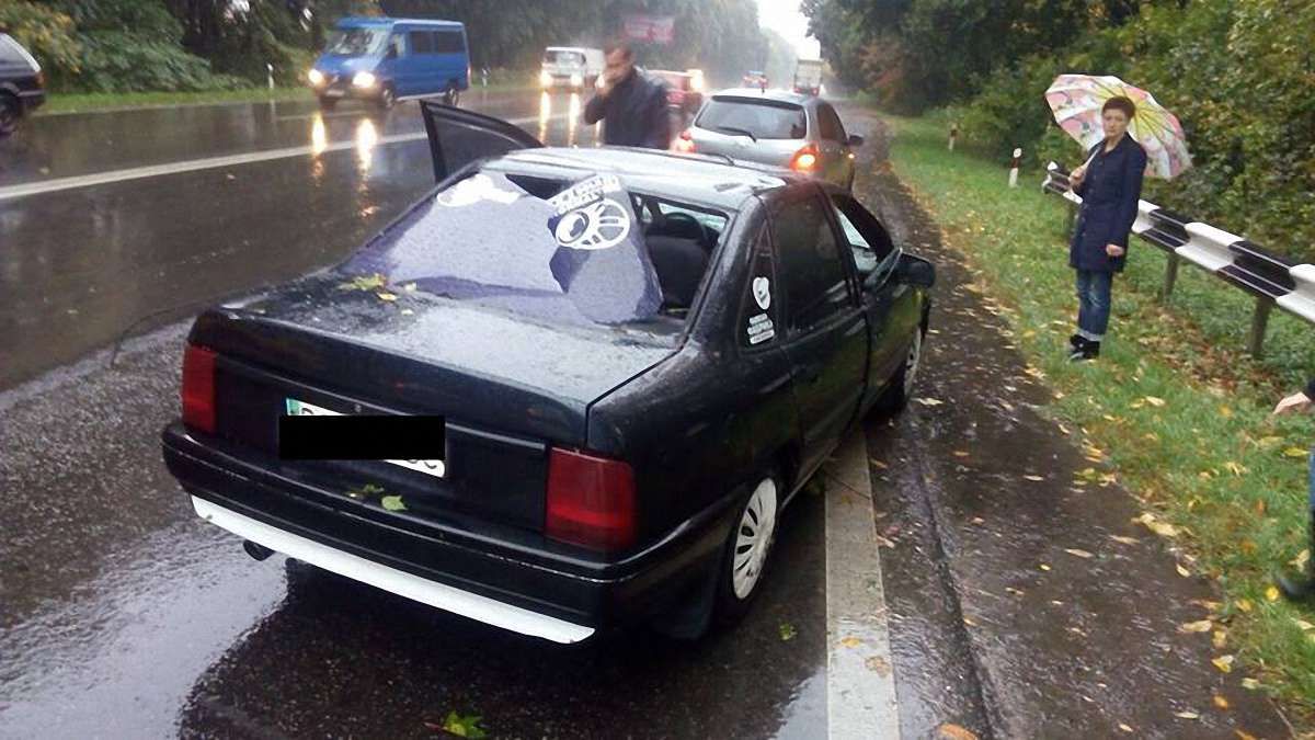 Біля Львова на машину впало дерево і травмувало пасажирку