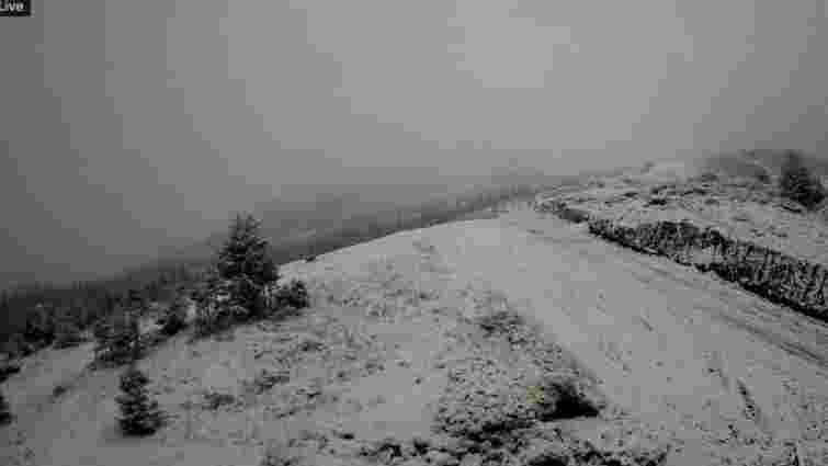 На високогір'ї українських Карпат випав сніг