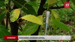 У львівському дитсадку хлопчик випадково вколовся шприцом з ВІЛ-інфекцією