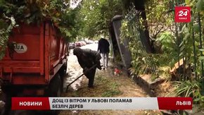 За два дні у Львові випала двомісячна норма опадів