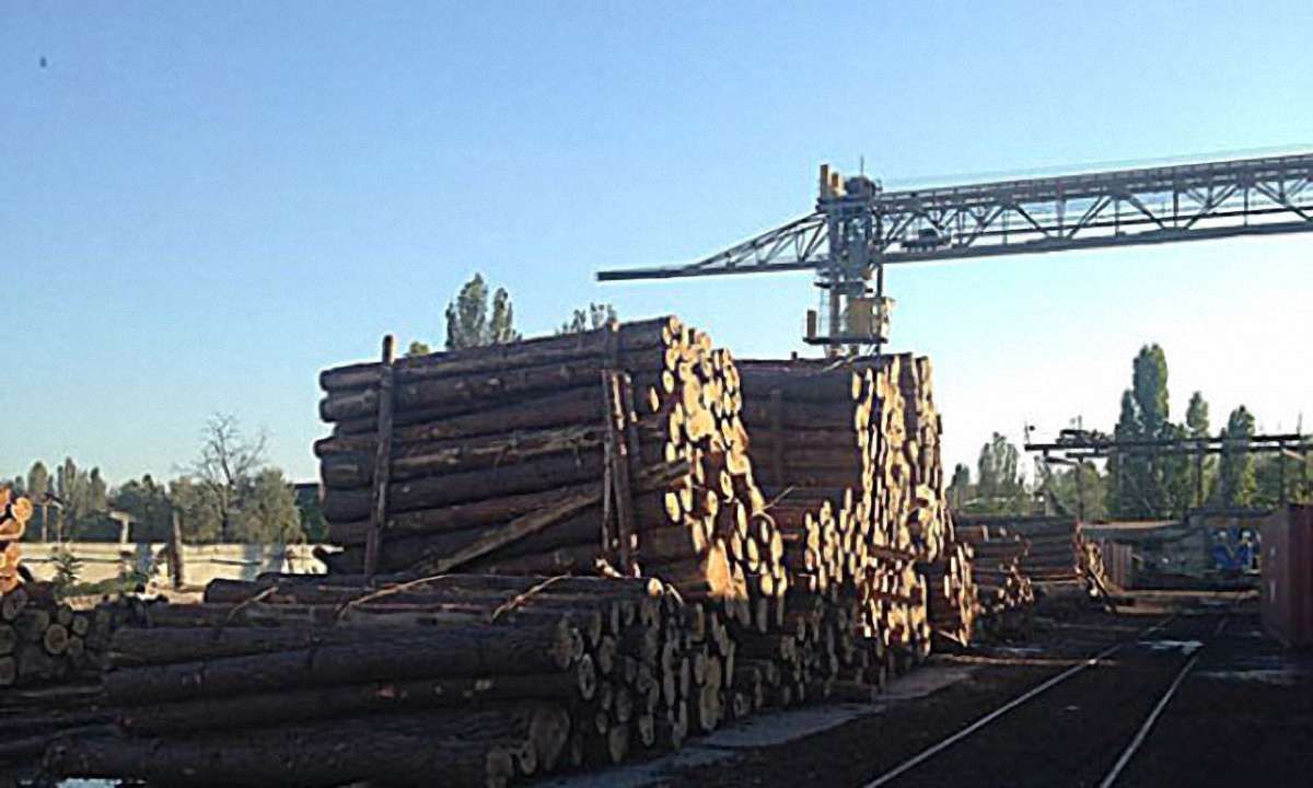 В Одесі перекрили незаконний канал експорту лісу