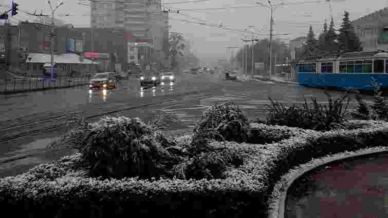 У Вінниці випав перший сніг