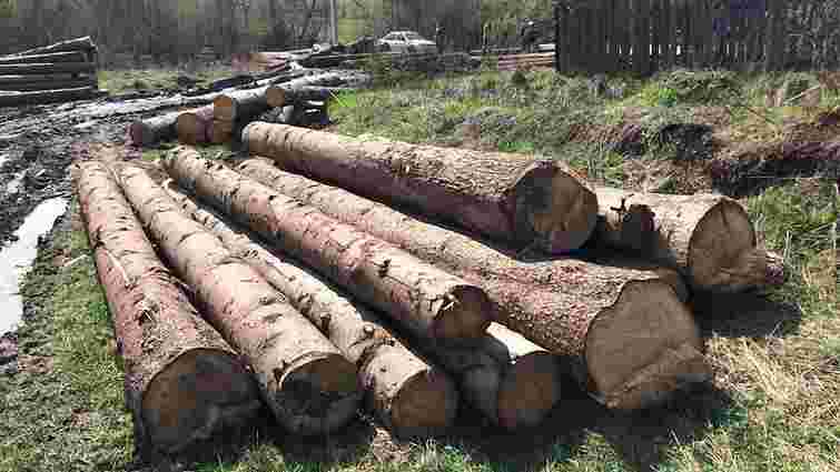 СБУ викрила незаконну вирубку лісу на Сколівщині