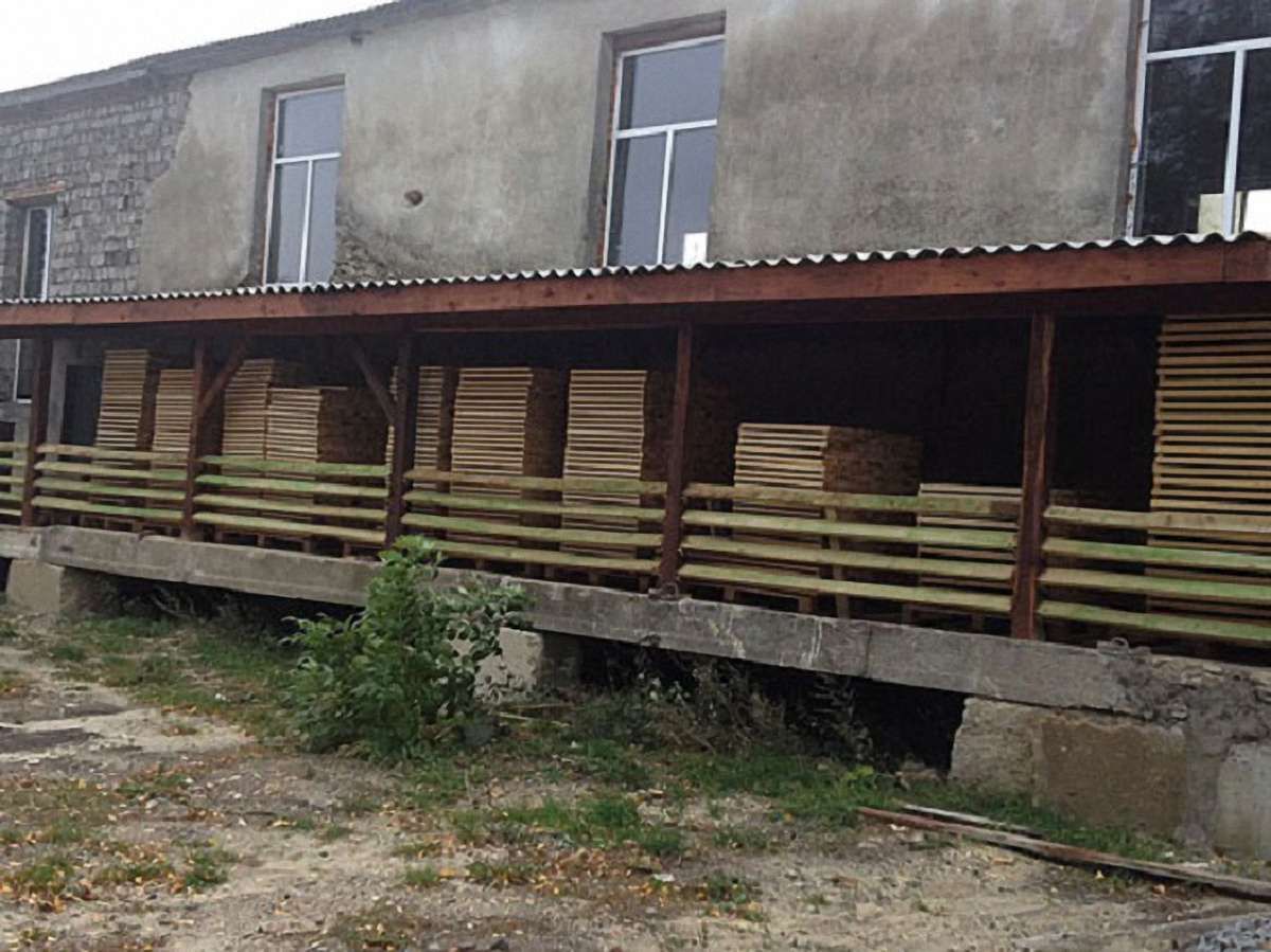 На Тернопільщині викрили заступника начальника лісгоспу за незаконну схему експорту лісу