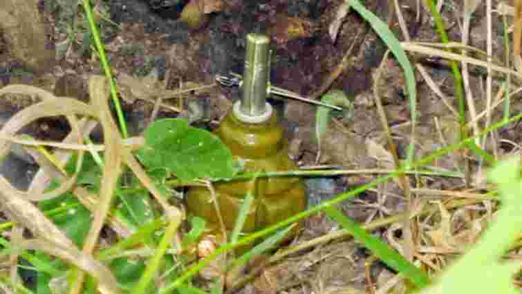На Івано-Франківщині чоловік у дворі власного будинку знайшов розтяжку з гранатою