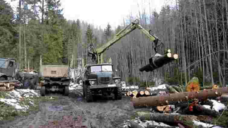 Кабмін схвалив нові правила вирубки лісів