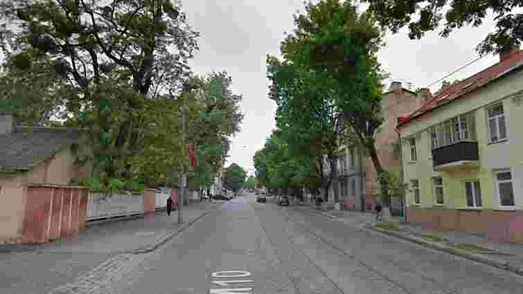Під час реконструкції вулиці Шевченка у Львові зріжуть понад 170 дерев