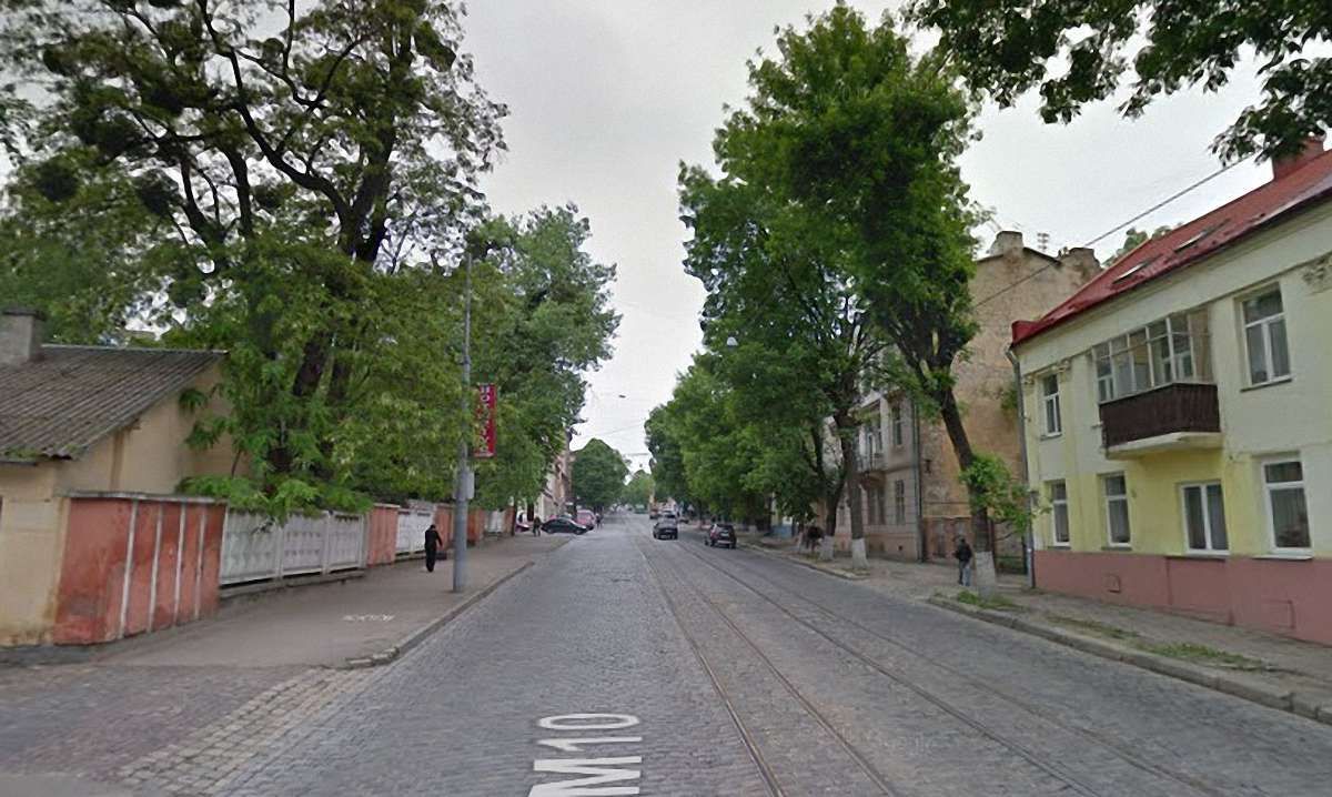 Під час реконструкції вулиці Шевченка у Львові зріжуть понад 170 дерев