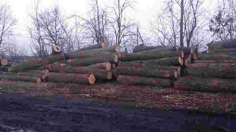 На Рівненщині вилучили партію незаконно вирубаної деревини