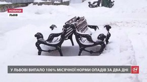 Негода на Львівщині: черги на зупинках, затори на трасах і двоє звільнених чиновників