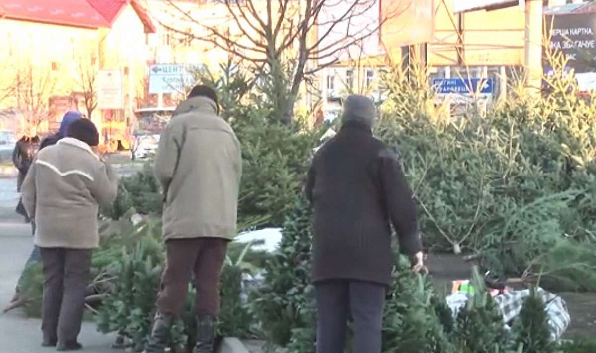 У передсвятковий період у Львові стартує операція «Новорічна ялинка»
