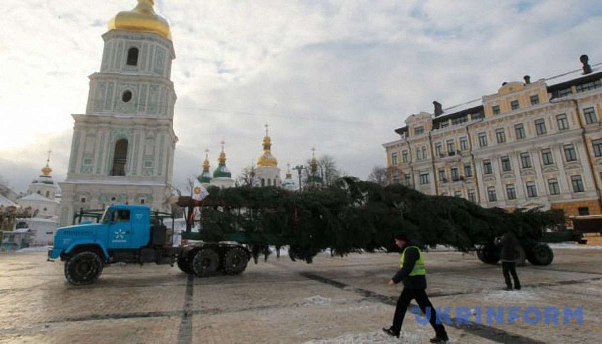 До Києва привезли 26-метрову новорічну ялинку