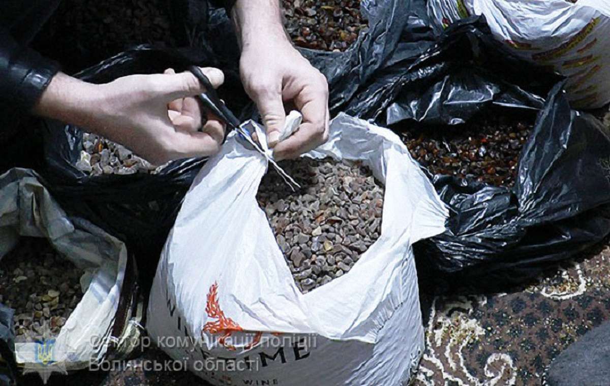 У мешканця Луцька поліцейські вилучили 100 кг бурштину