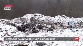 Поліція Львівщини шукає матір, яка викинула на смітник власне дитя