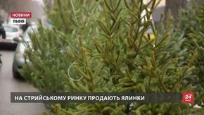 У Львові за продаж ялинок без чіпів торік оштрафували лише одну людину