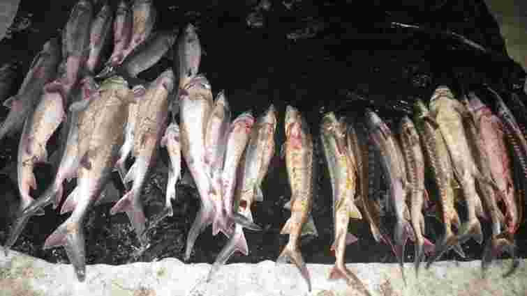 На Херсонщині затримали браконьєрів, які наловили риби майже на ₴3 млн