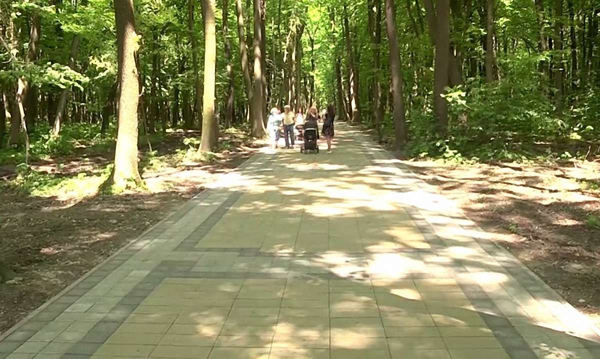 Львів'ян закликають придбати іменні лавки у сихівському лісі