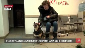 Львів’ян, які не зареєстрували тварин, з 1 січня чекає штраф