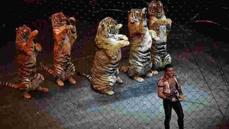 Мінекології підтримало ініціативу заборони використання диких тварин у цирку