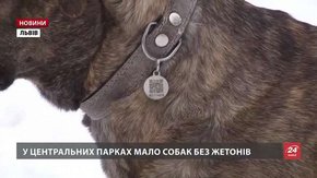 У Львові власників собак без жетона штрафуватимуть з 1 лютого