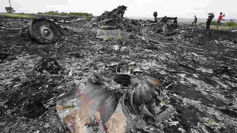 Родичі жертв катастрофи MH17 вимагають відновити пошукові роботи в Україні