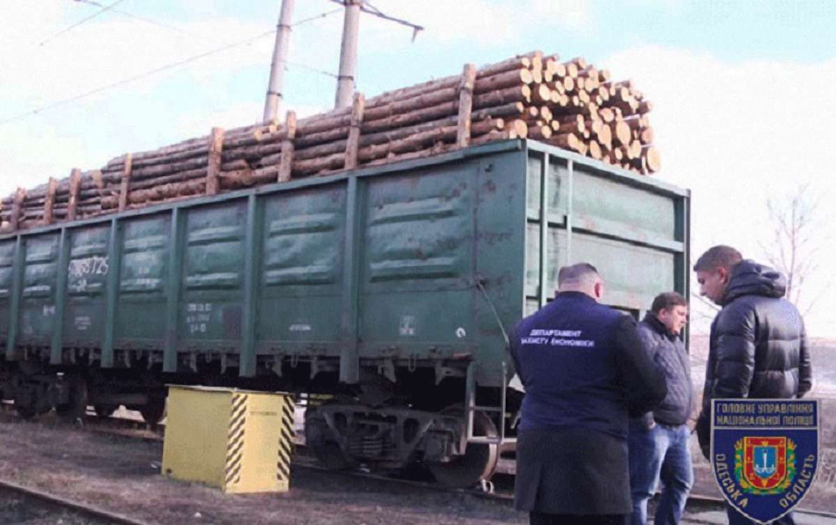 На кордоні з Молдовою затримали 19 вагонів з лісом-кругляком