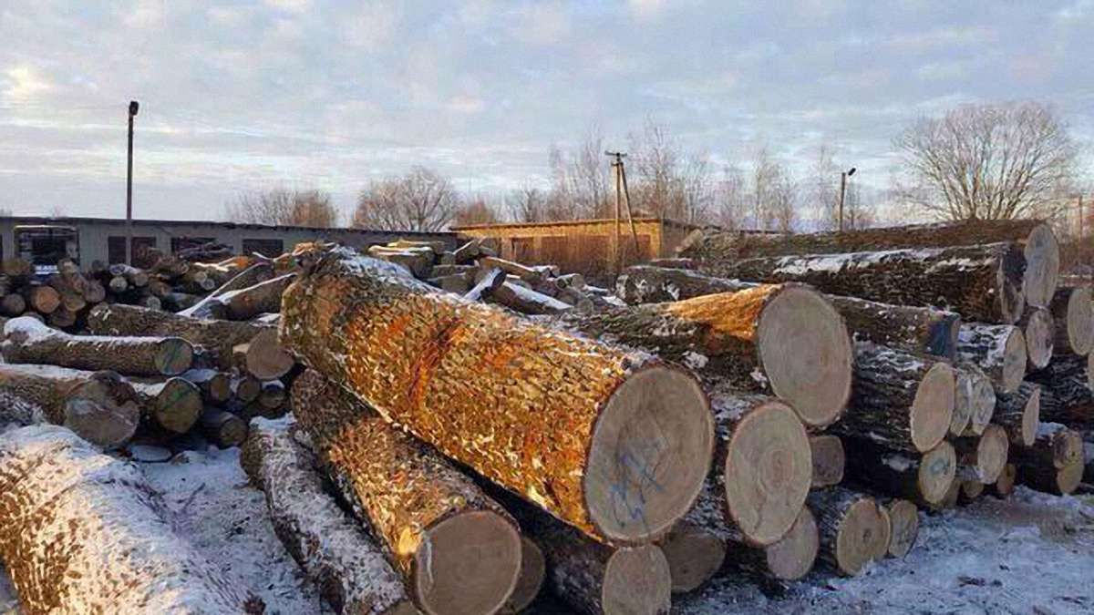 Фірма з Львівщини незаконно вивезла до Польщі 12 вагонів дуба