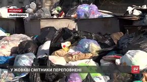 Від сміттєвої проблеми потерпають і райони Львівщини
