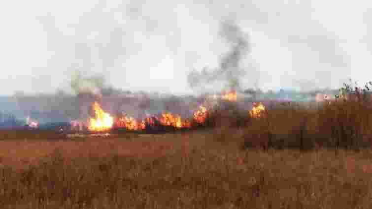 На Одещині браконьєри влаштували пожежу в національному парку