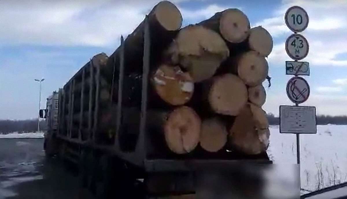 Патрульні затримали автомобіль із деревиною із Сколівського лісгоспу без документів