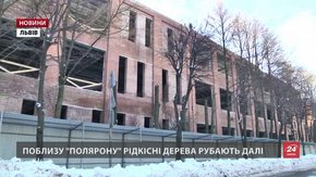 У Львові поблизу «Полярону» продовжують нищити рідкісні дерева