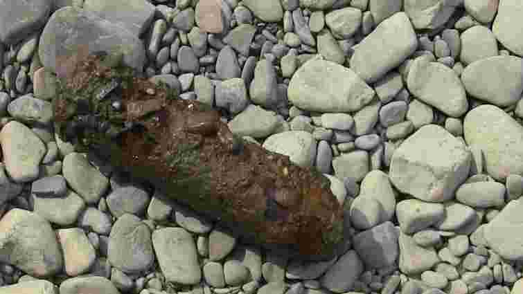 На Перемишлянщині сапери знешкодили снаряд часів Другої світової війни