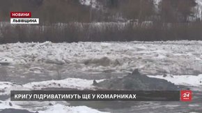 Крига влаштувала на карпатських ріках затори
