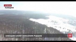 Еко-активісти виявили порушення із вирубками у Завадівському заказнику