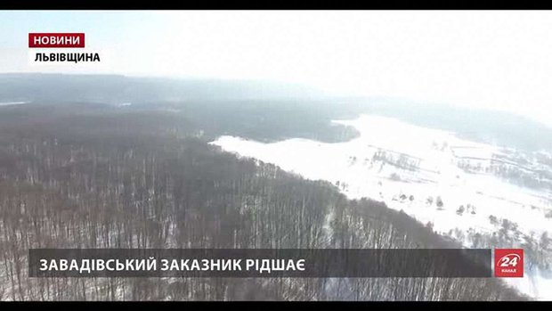 Еко-активісти виявили порушення із вирубками у Завадівському заказнику