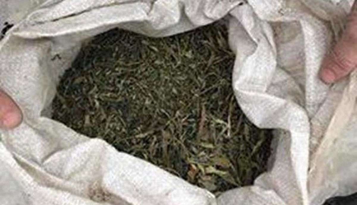 На Київщині поліція затримала зловмисника з наркотиками на півмільйона гривень