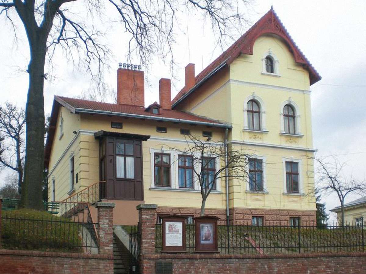На посаду директора музею Франка претендують три кандидати
