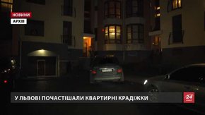 За останній рік на Львівщині квартирних крадіжок побільшало майже вдвічі