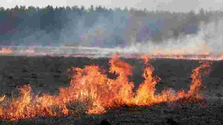На Львівщині за добу виникло 20 пожеж сухостою