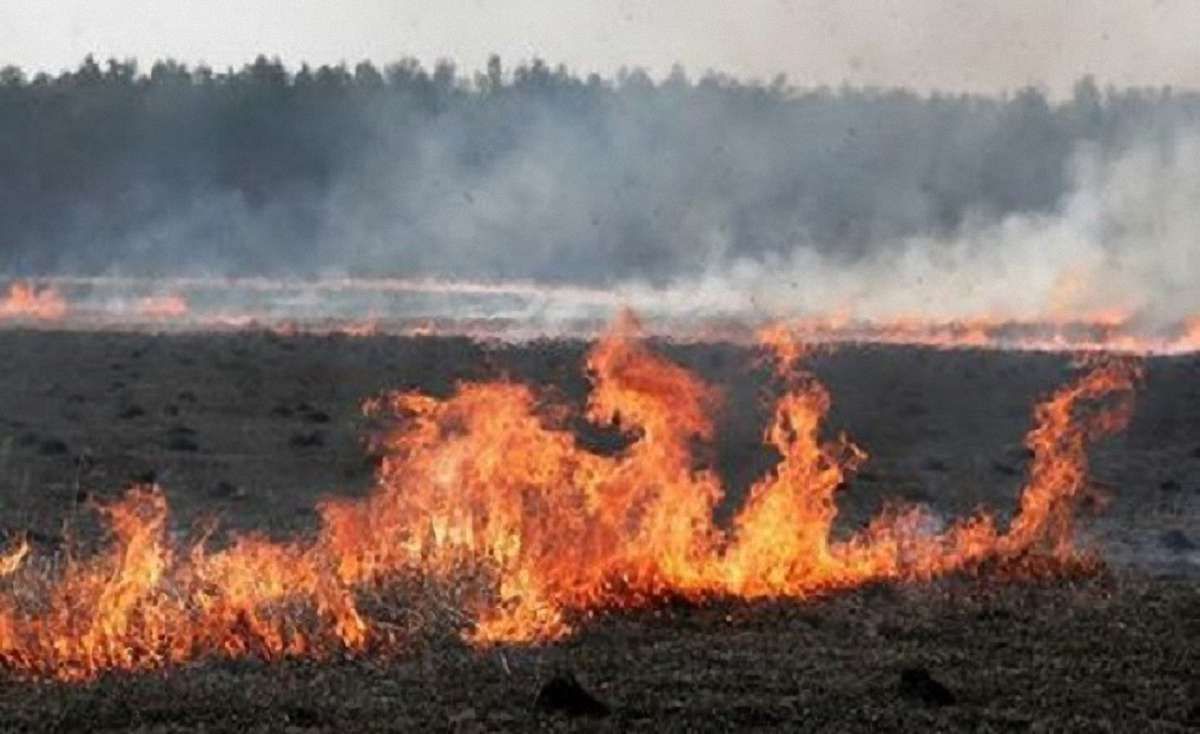 На Львівщині за добу виникло 20 пожеж сухостою