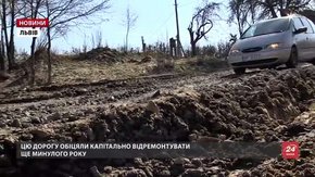 За 3 км до міжнародного пункту пропуску на Львівщині машини в’язнуть у болоті